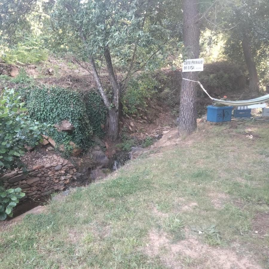 Casa Rural El Arroyo Sotoserrano Bagian luar foto
