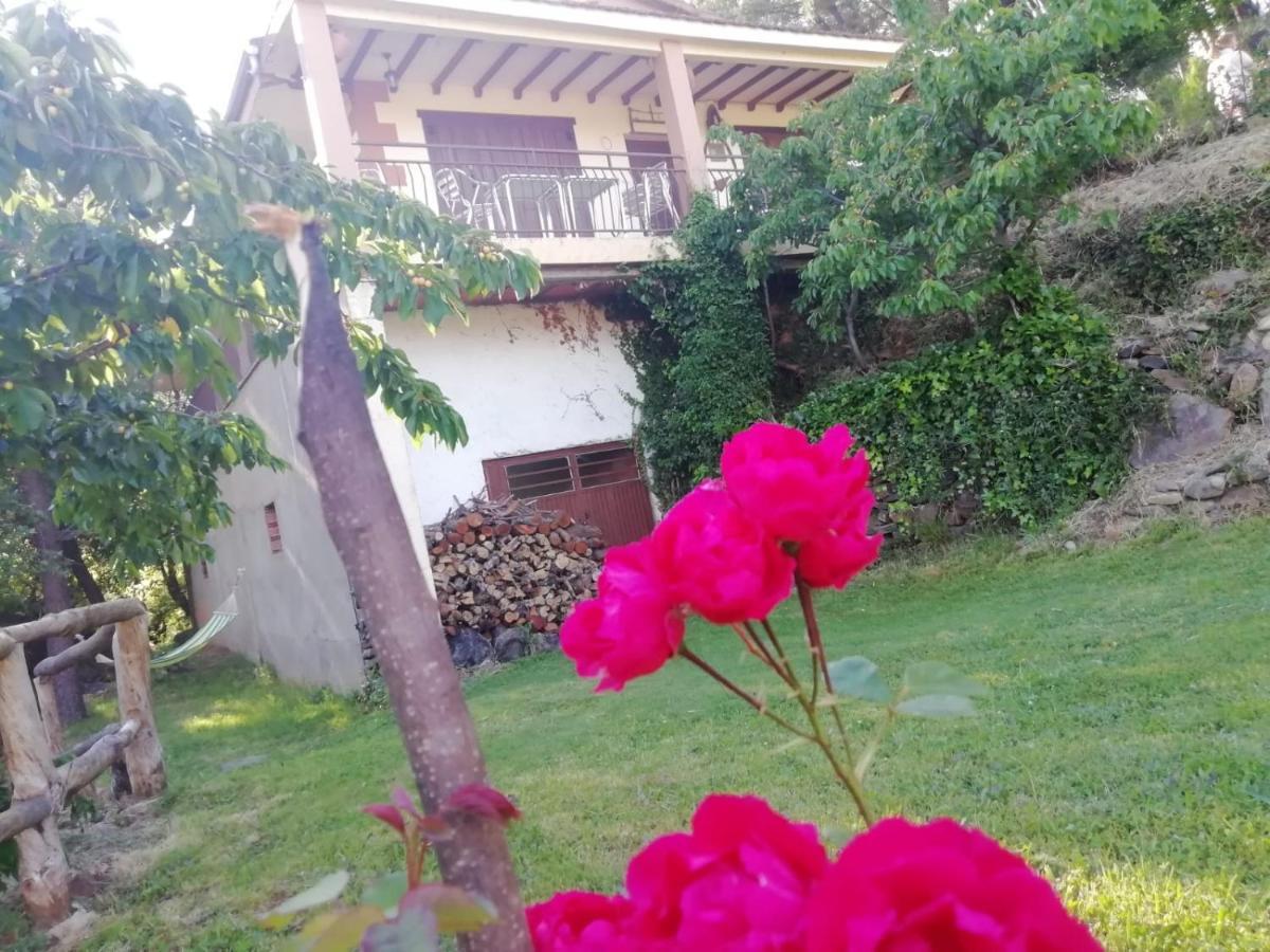 Casa Rural El Arroyo Sotoserrano Bagian luar foto